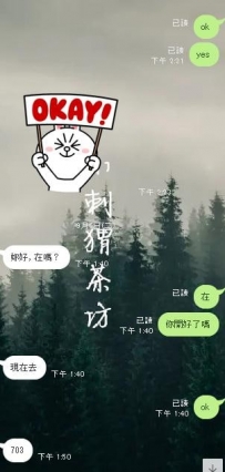 小刺蝟做出國際了  外國麻吉找小刺蝟安排上了