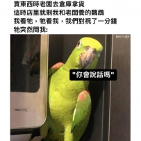 笑死了  哈哈哈哈哈