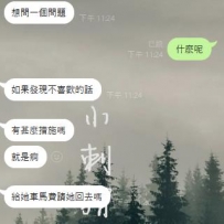 小刺蝟出手必是精品