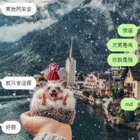 好吧  我連罵人都不會罵🤣