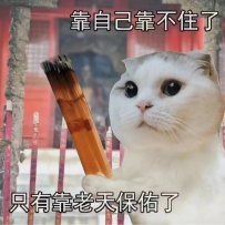 對不起 以前沒理你是我太裝了